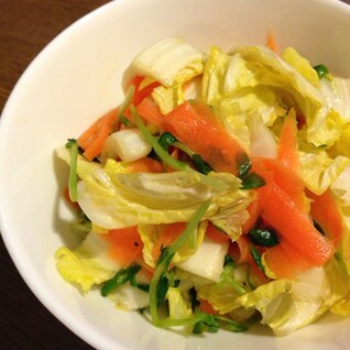 白菜と豆苗の洋風サラダ